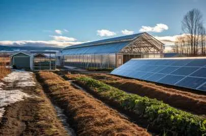 Photo d'un champ a panneau photovoltaïque